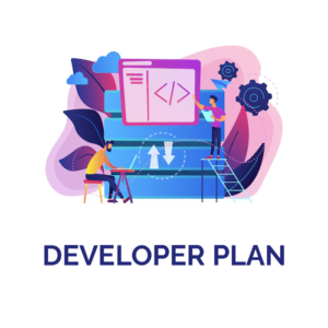 Developer Plan